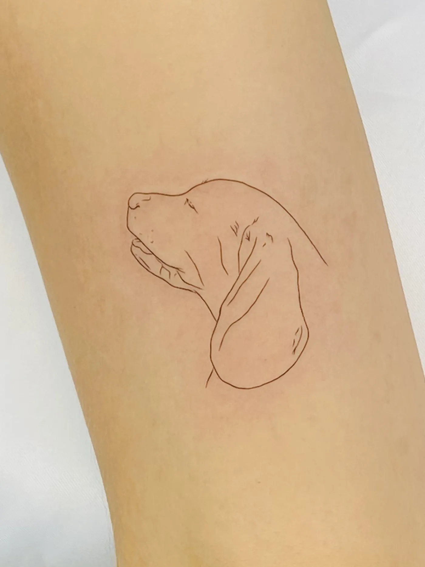 Tatuaje fine line en antebrazo