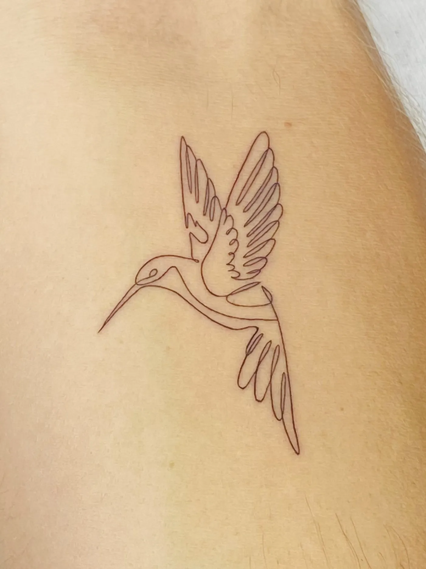 Tatuaje fine line en antebrazo