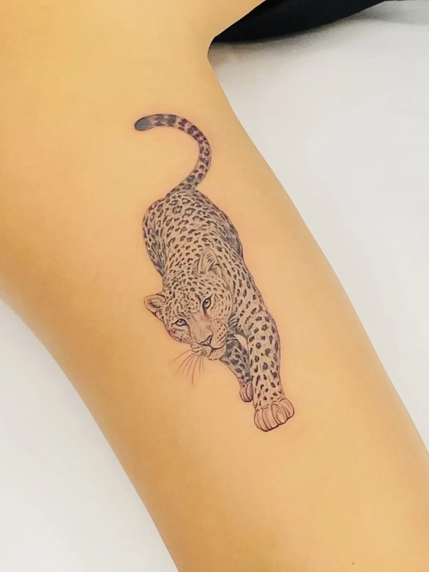 Tatuaje microrrealismo en brazo